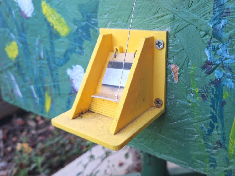bumble-bee house