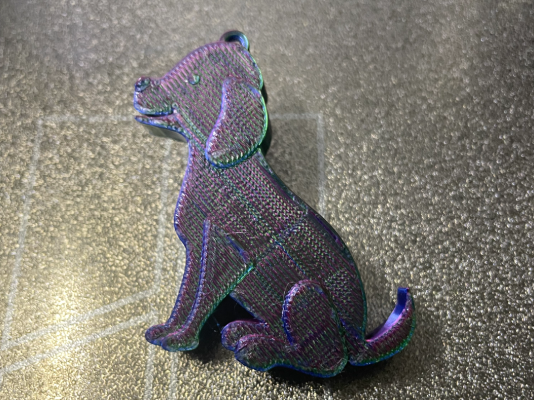 30 min dog keychain