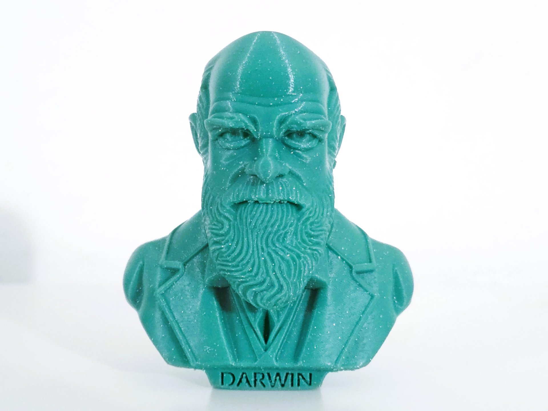 Charles Darwin bust / soft version