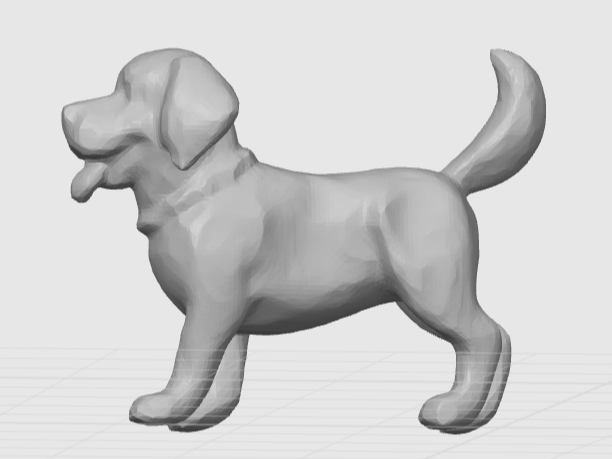 Labrador Retriever Puppy