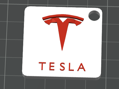 Tesla keychain Multicolor print
