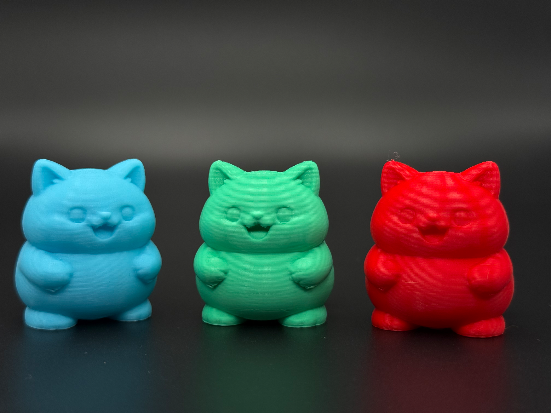 Chubby Cat