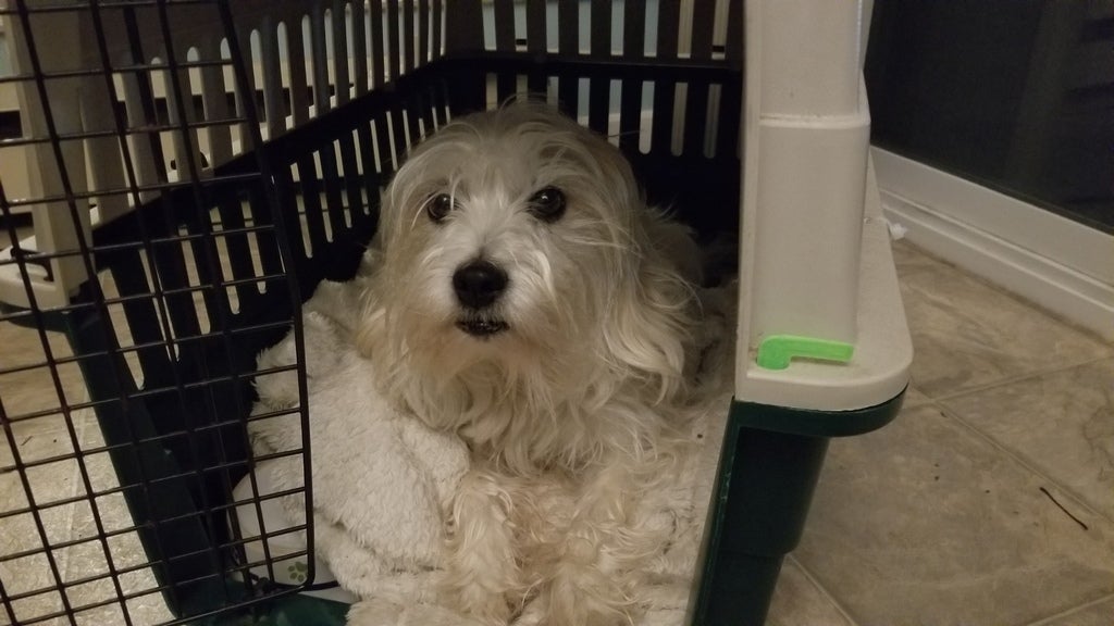Remington Dog Crate Clip