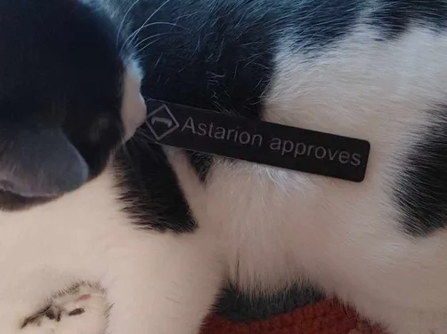 Astarion approves signs
