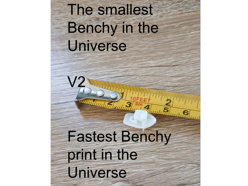 The fastest Benchy print in the world/the smallest