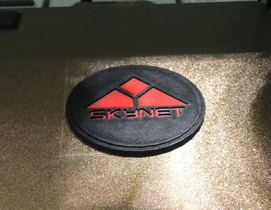 Skynet Coaster