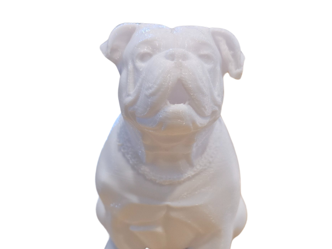 Old Englisch Bulldog