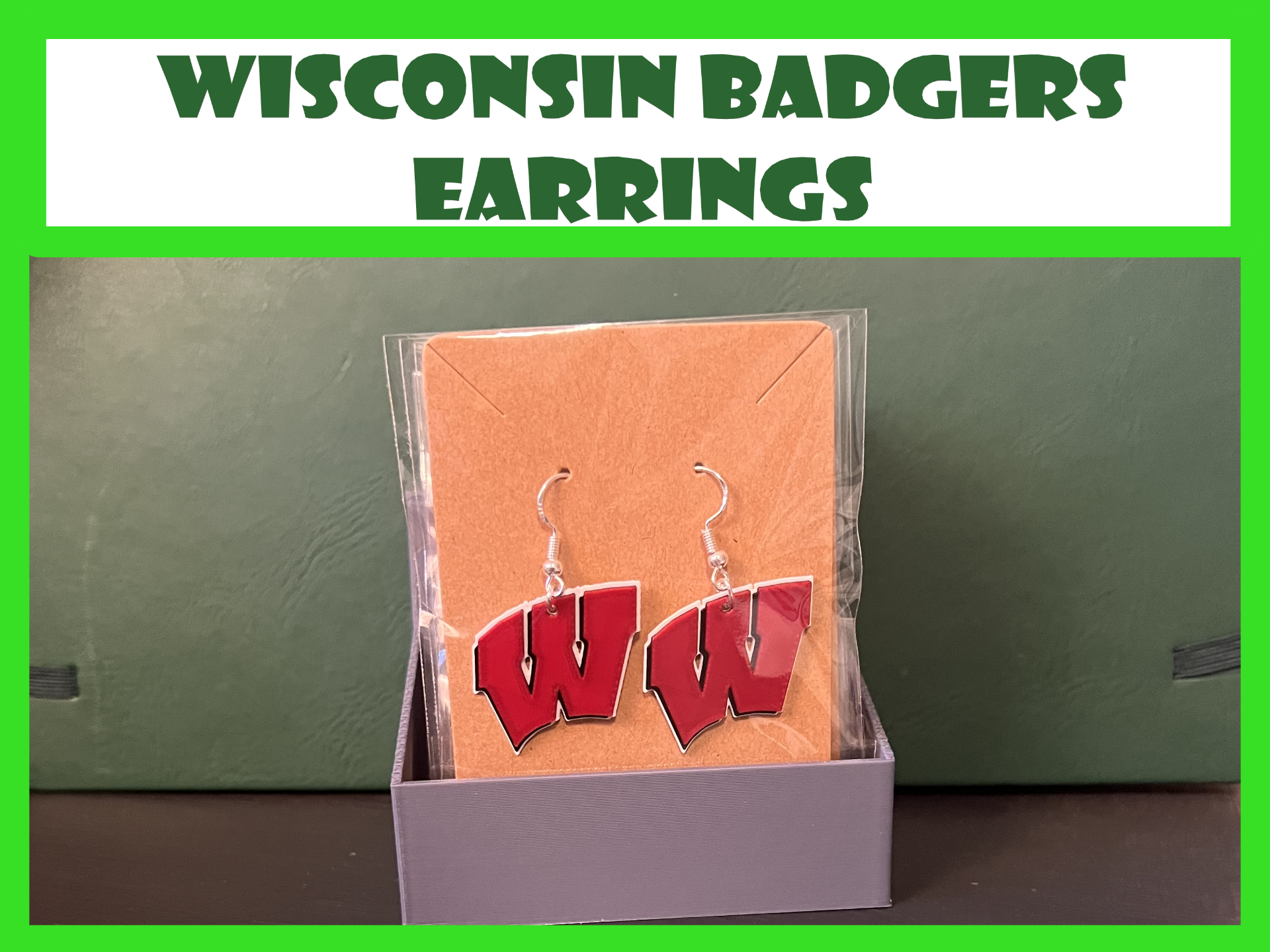Universities of Wisconsin - Earrings