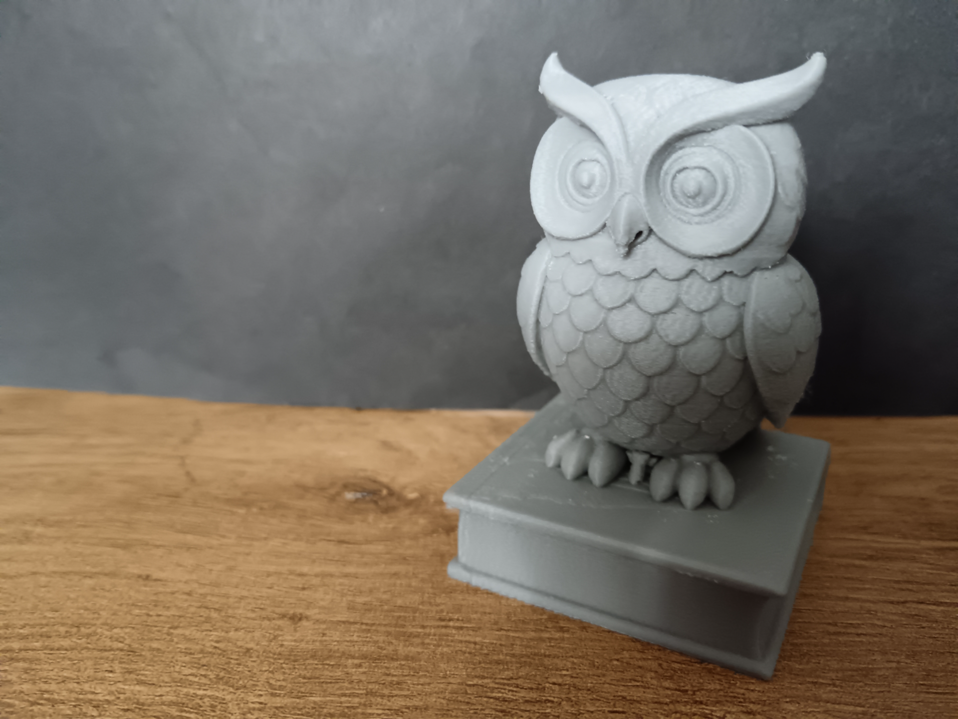 Wise Owl