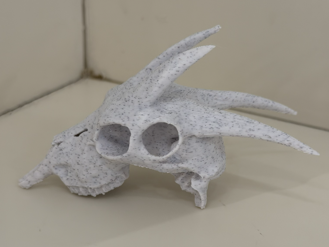 4 eyed goat skull
