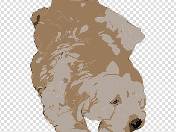 Golden doodle