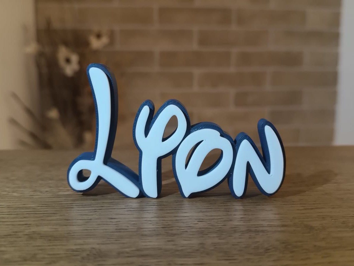 Disney Name Sign Lyon Kid Room Wall Decor Tag