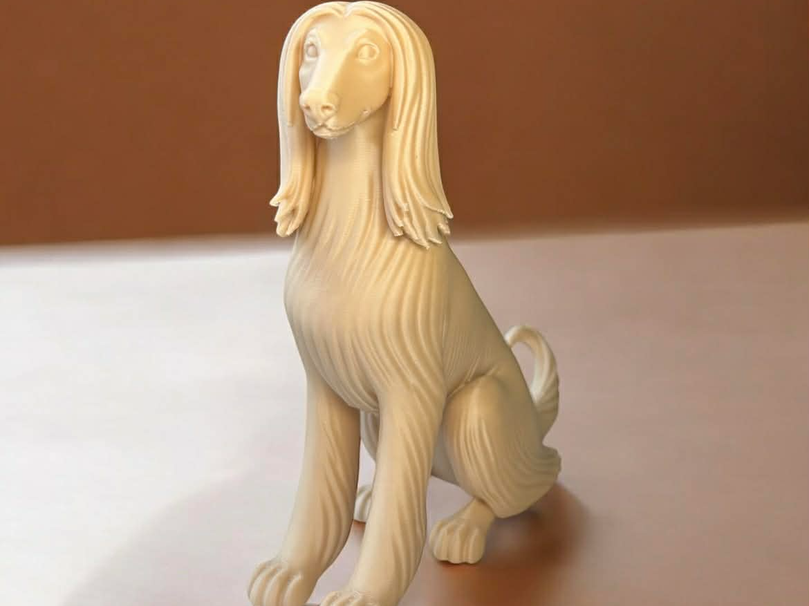 Afghan Hound