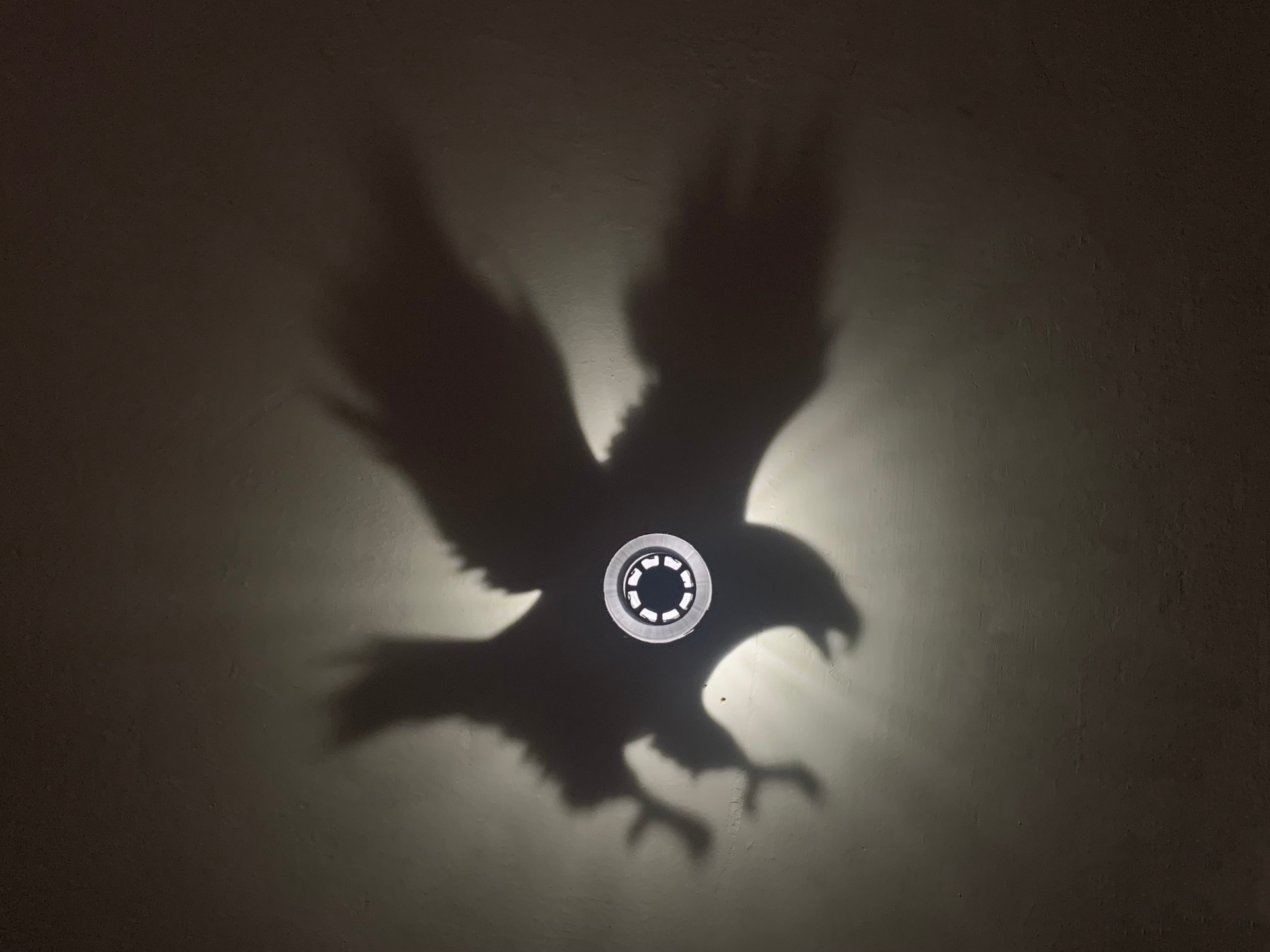 Shadow Art - Eagle