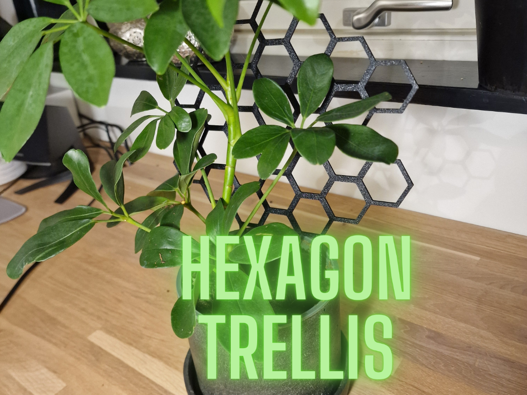 Hexagon trellis