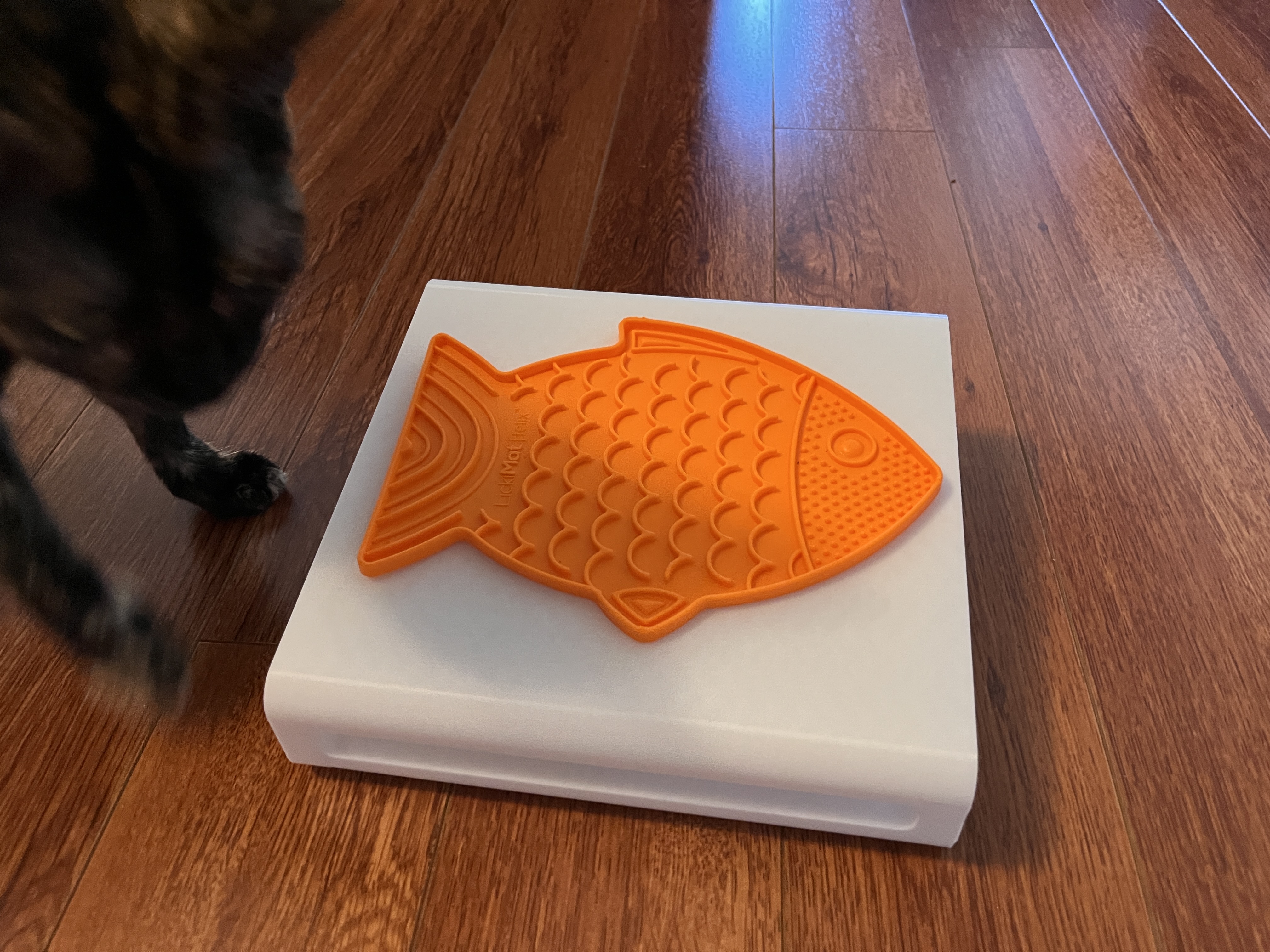 Cat Food Stand