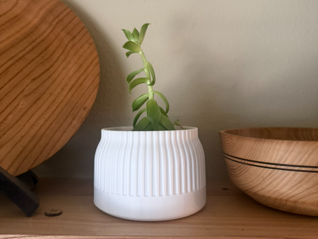 Japandi Decor/Succulent Vase