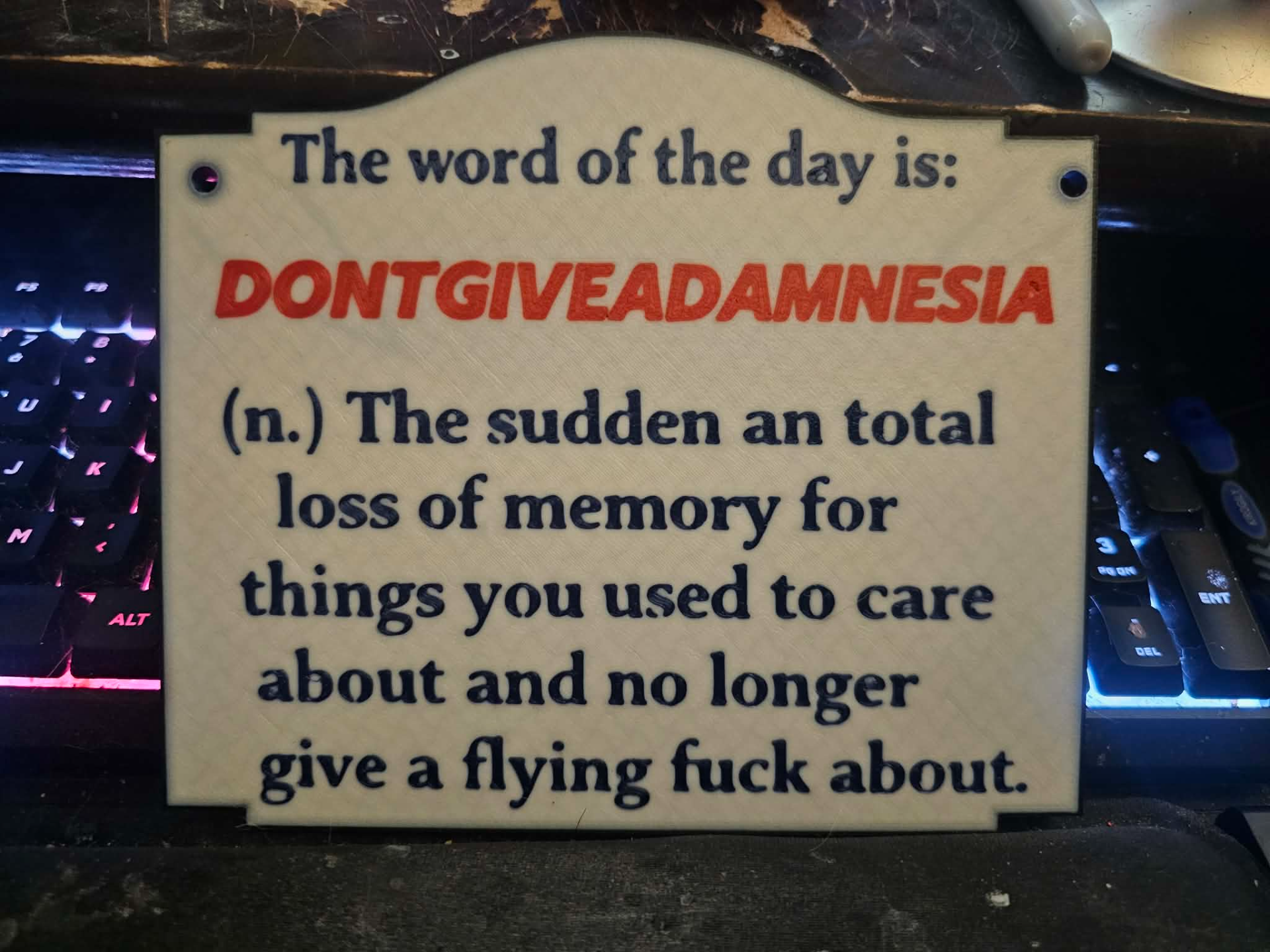 dontgiveadamnesia