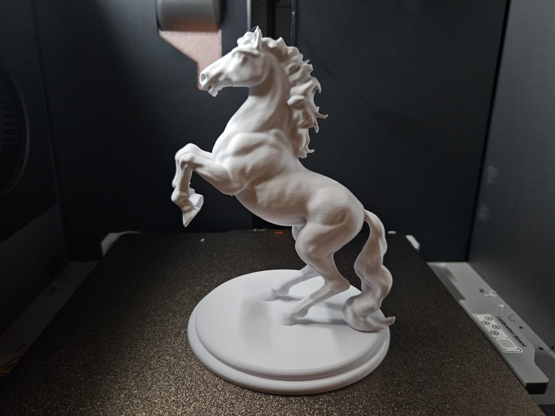 Rearing rampart horse - Classic trophy model