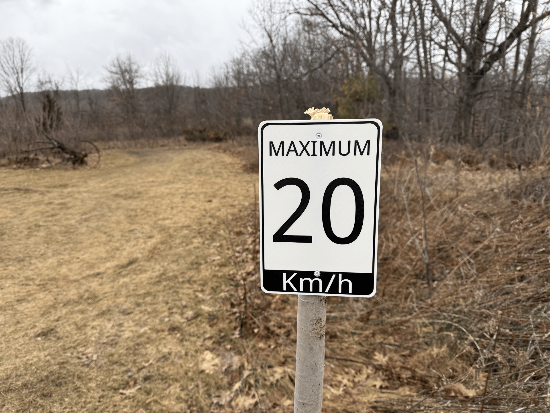 20 kph sine
