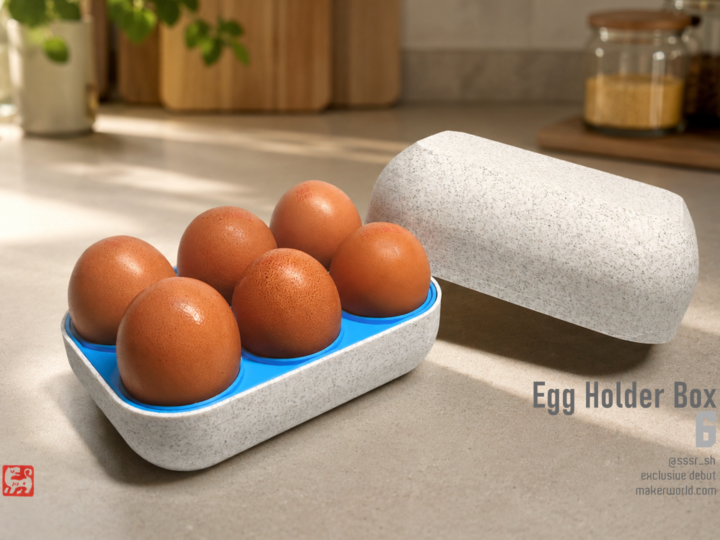 Egg Holder Box 6