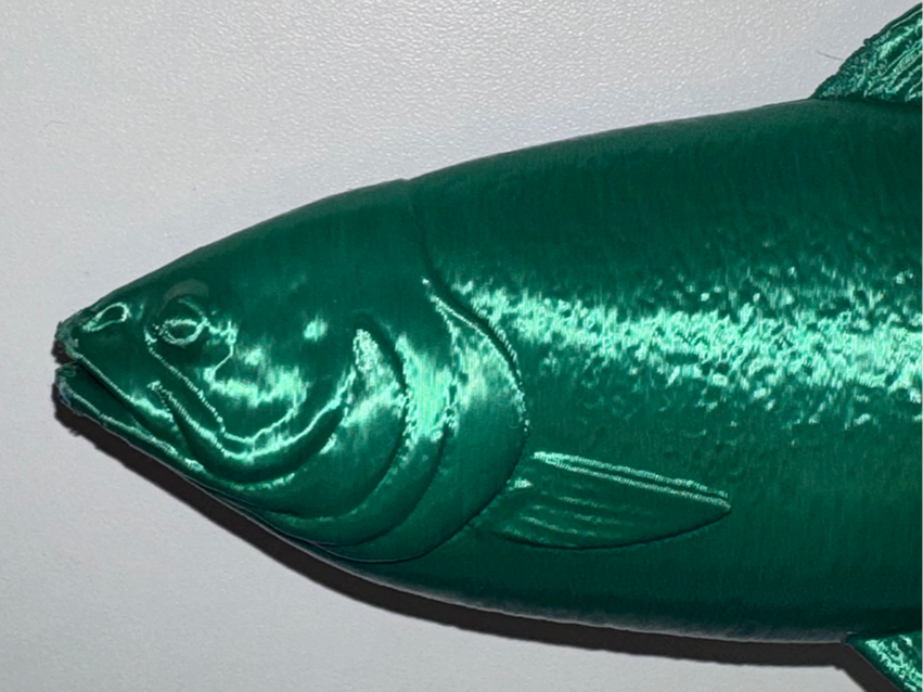 Fish Light Pull