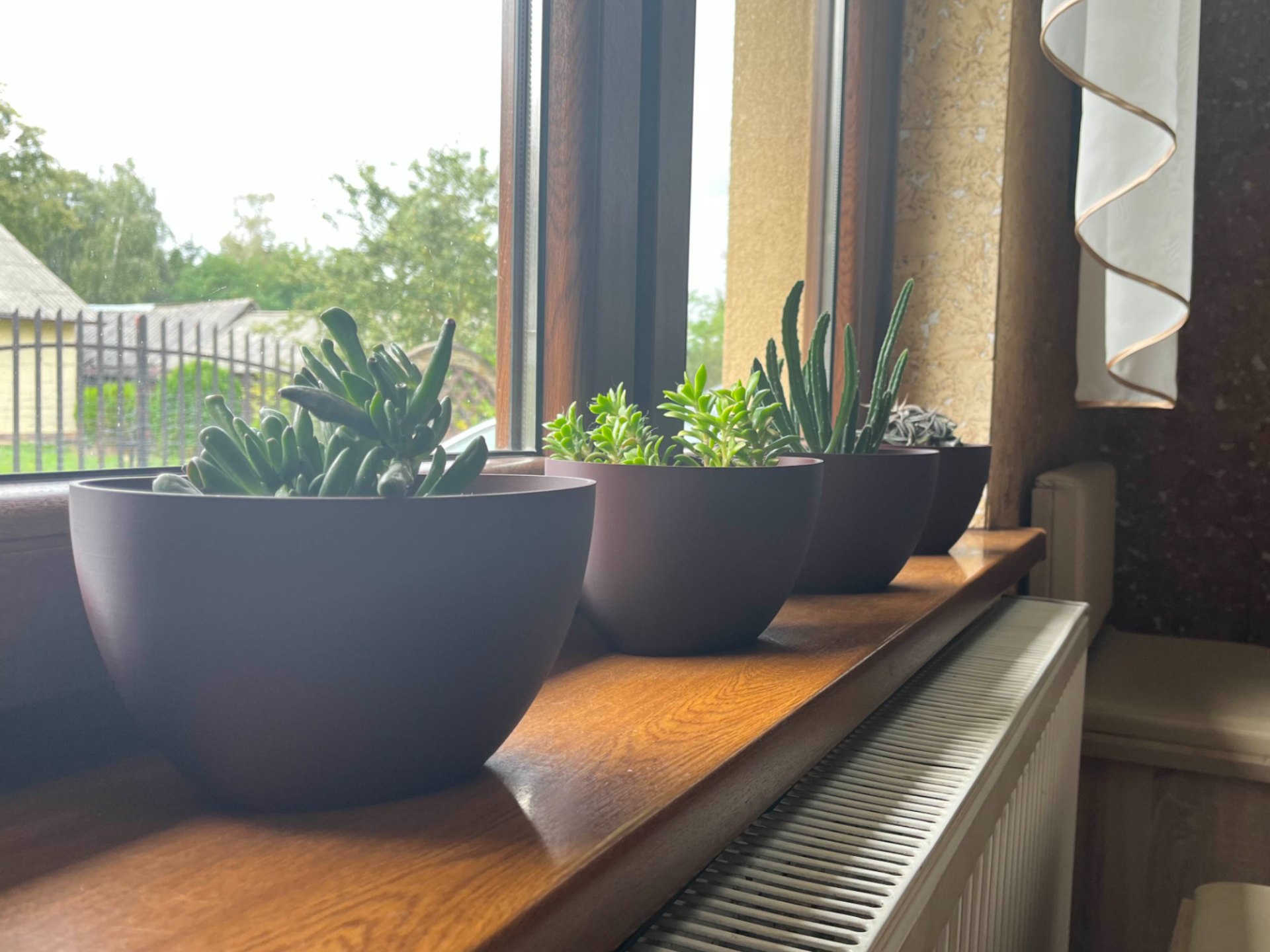 Bowl shaped flower pot - planter
