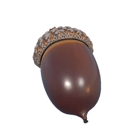 Squirrel-Approved Acorn Model