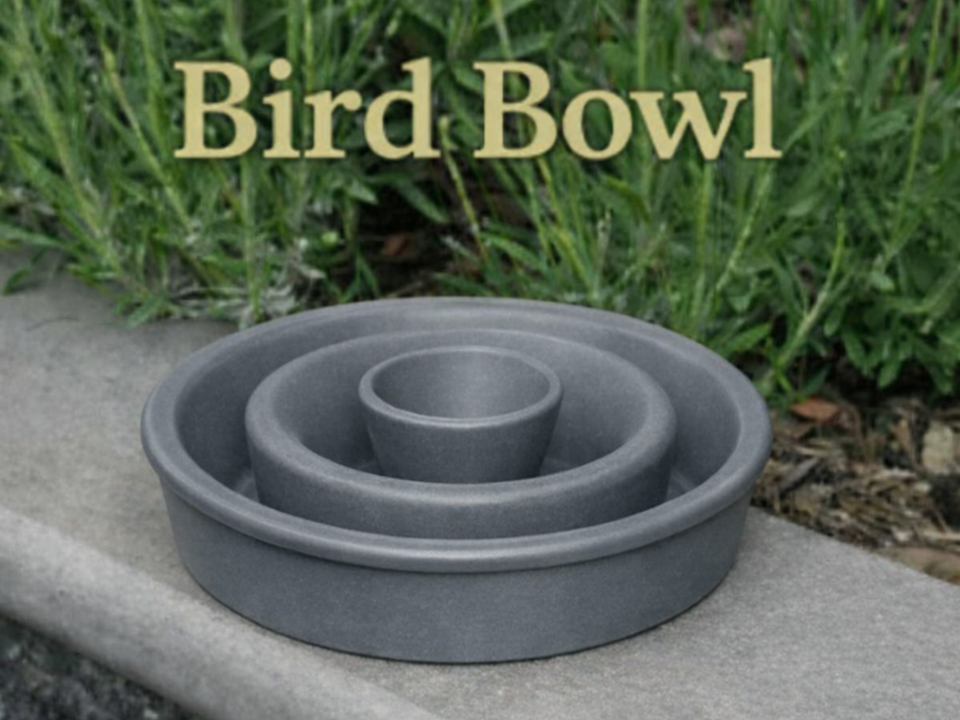Bird Bowl