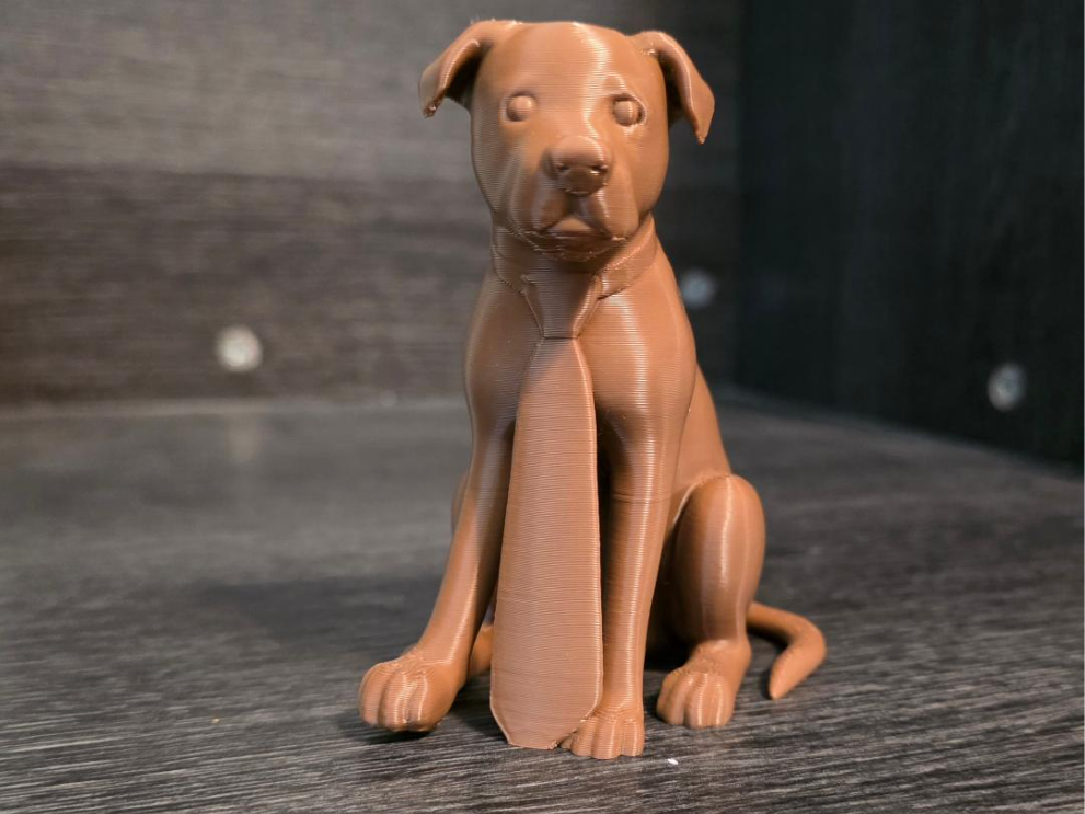 Dog with a Tie on