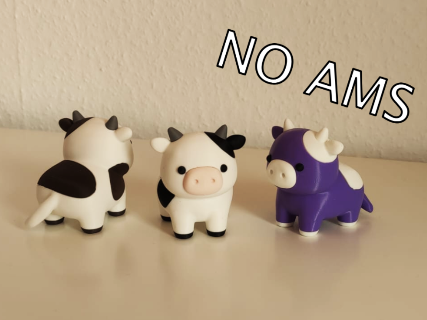 Cute Cows