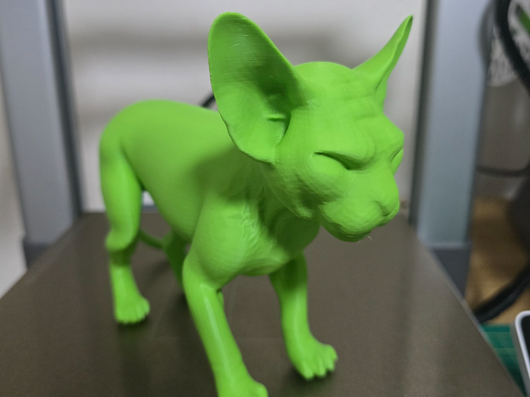 sphynx
