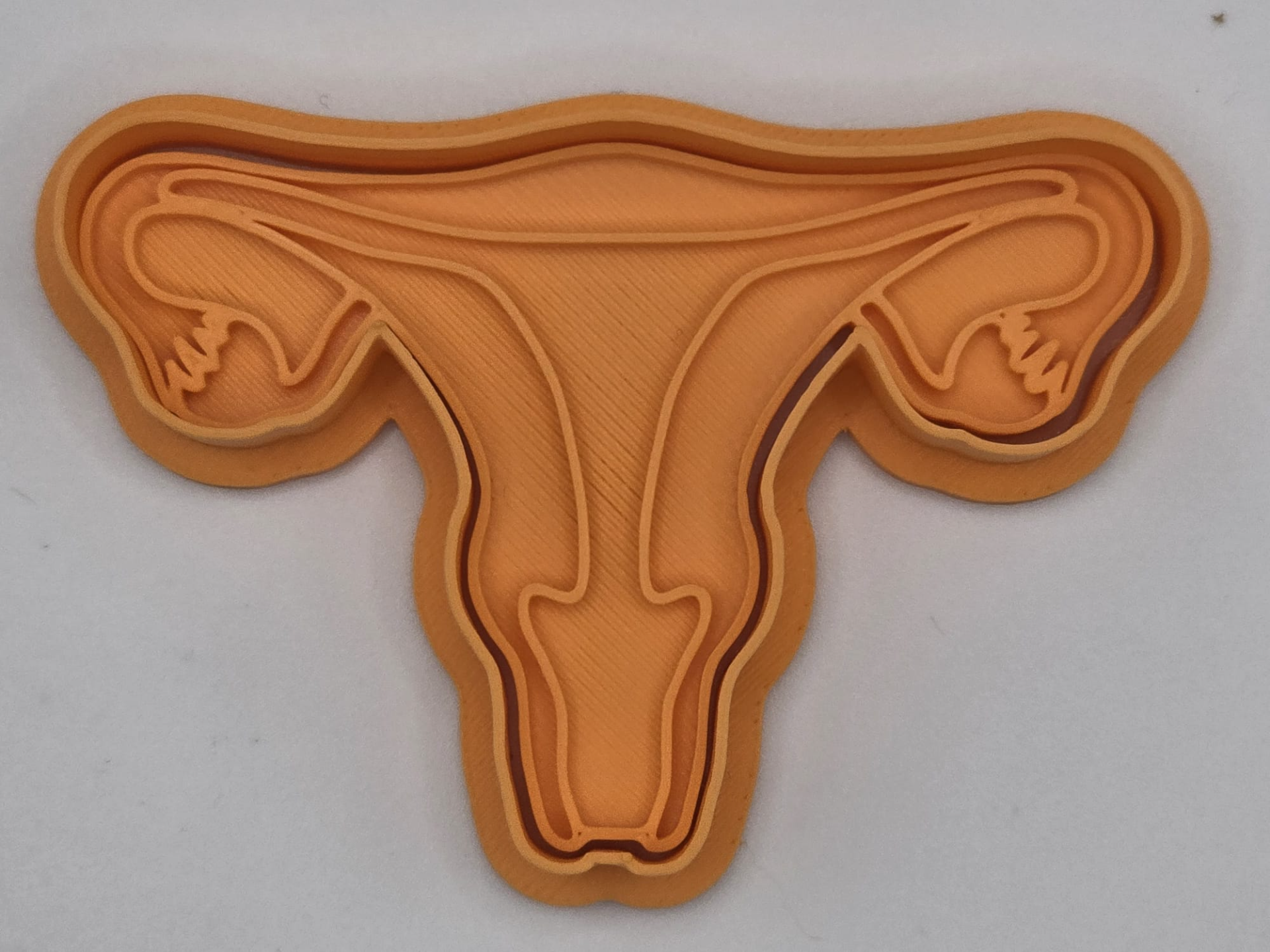 Uterus Anatomy Woman Cookie Cutter Playdoh Stamp