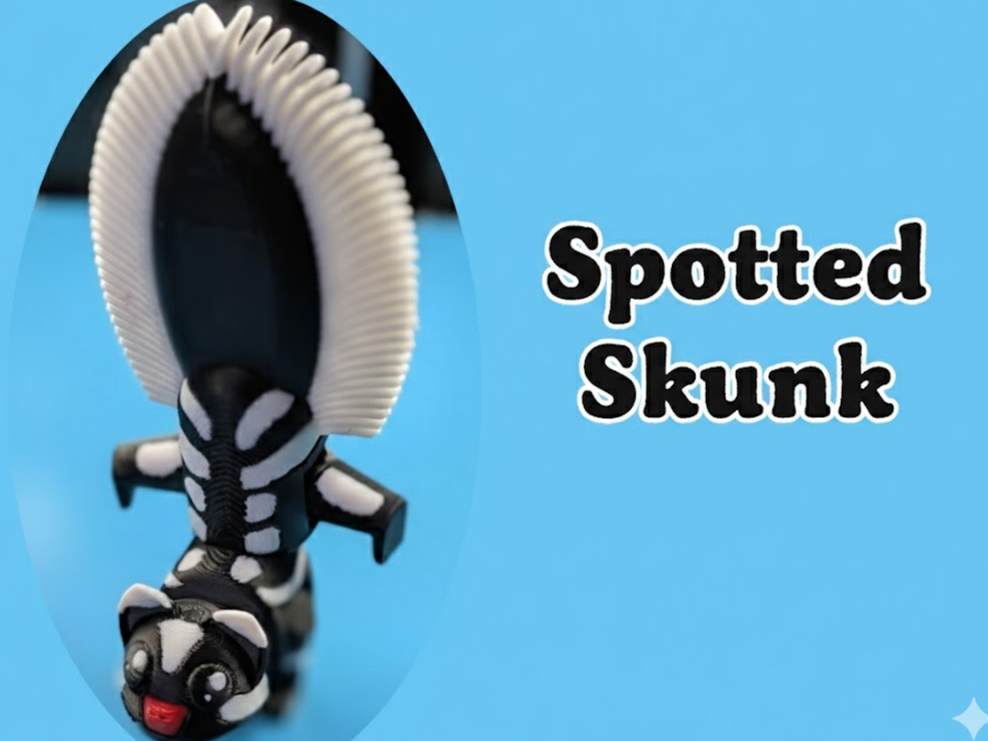 Articulated Spotted Skunk