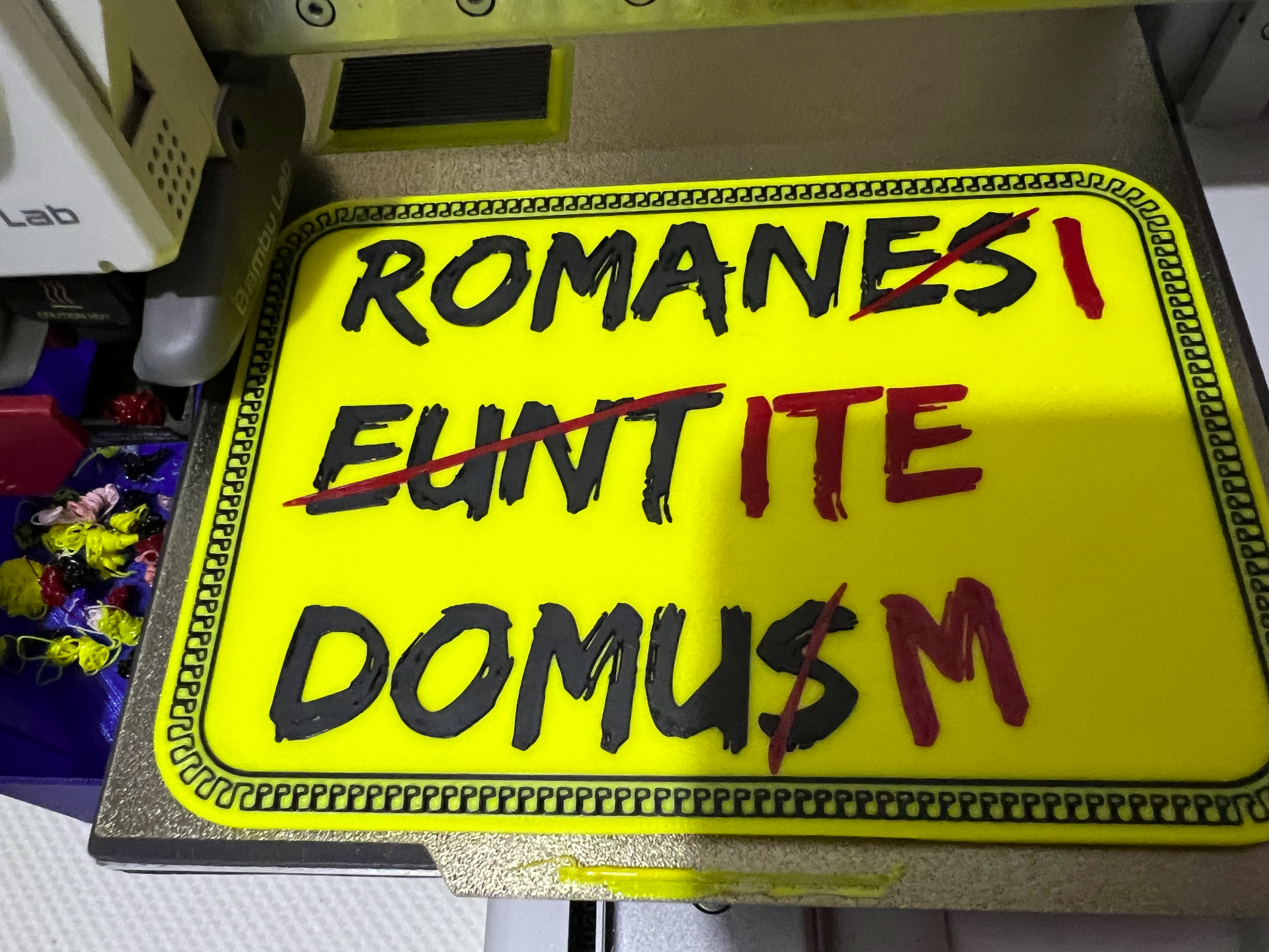 ROMANS GO HOME