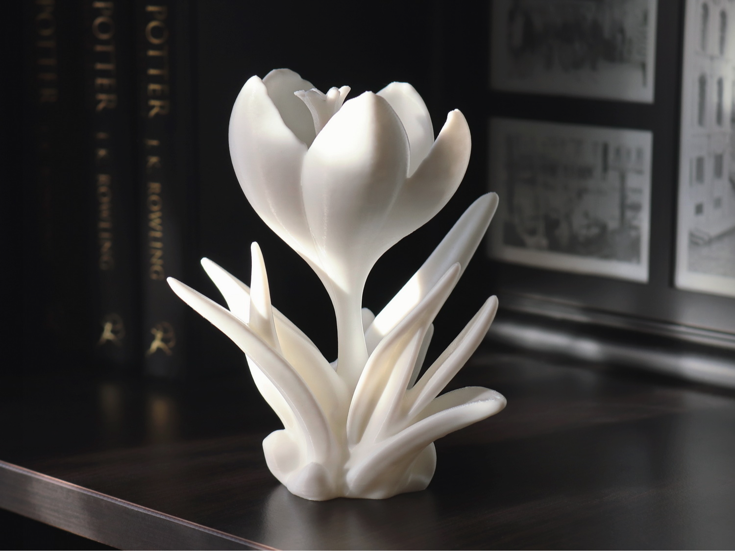 Crocus