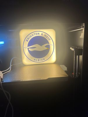 Brighton And Hove Albion Football Club Lightbox