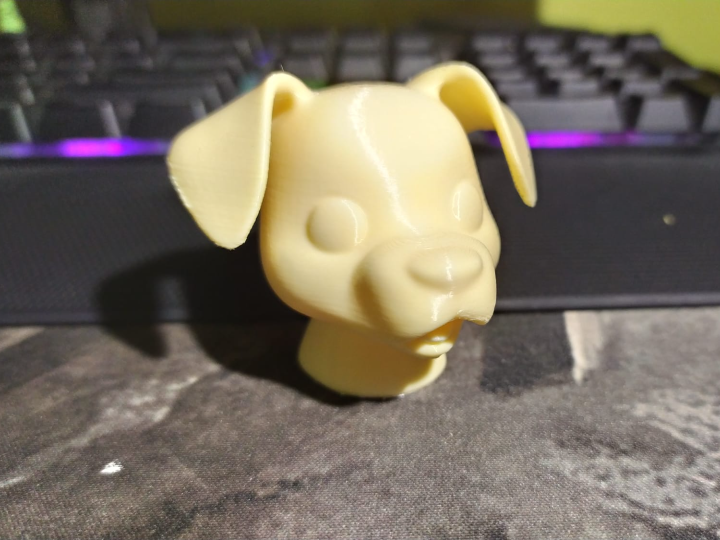 dog head