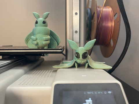 Moths Standing and Laying