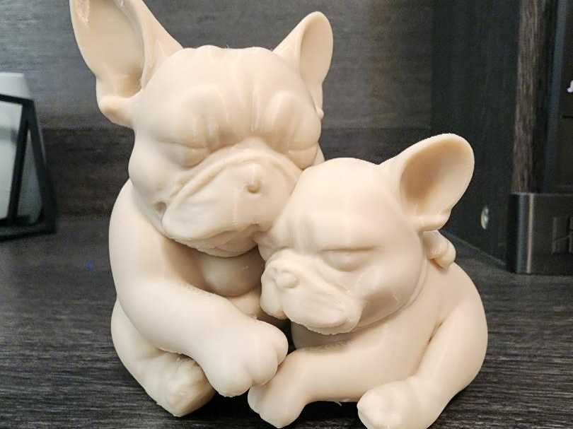 Frenchie Cuddles
