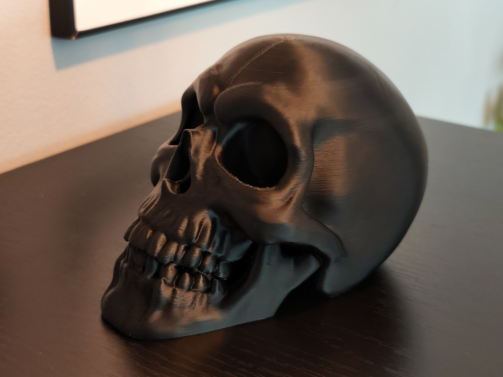 Human Skull - Gothic Home Decor