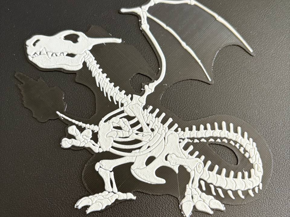 fossil charizard