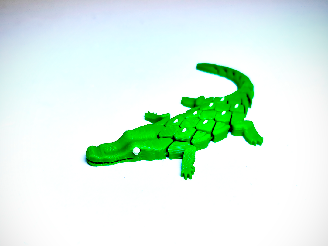 tender flexible crocodile , articulated