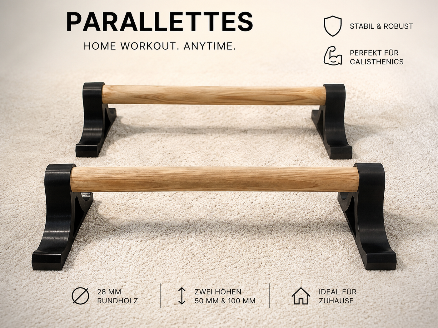 Home Gym Parallettes / Liegestütz