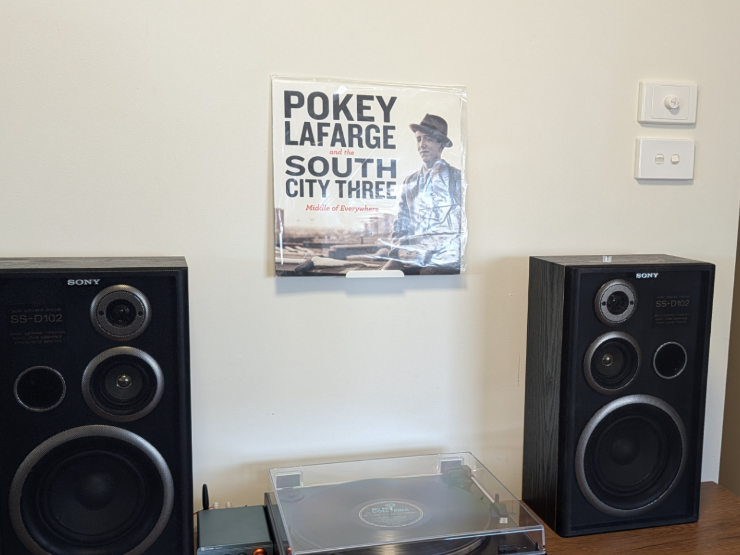 Vinyl Record Wall Display