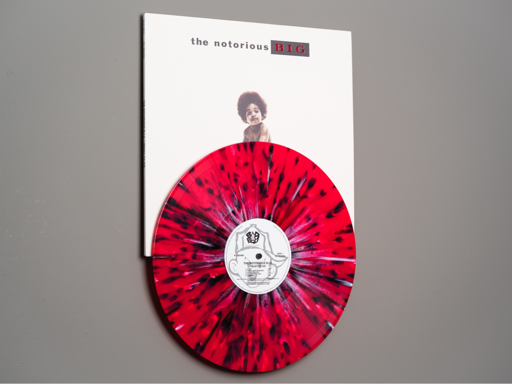 Vinyl Record & Album Cover Wall Display