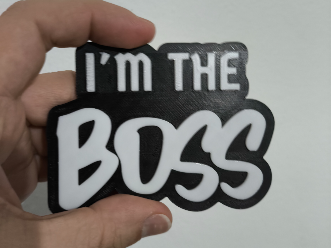 Logo I'm the Boss