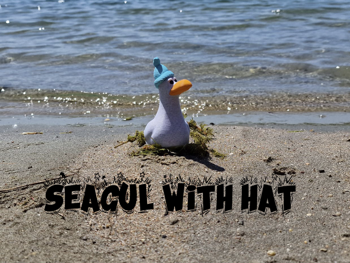 Seagull with a hat
