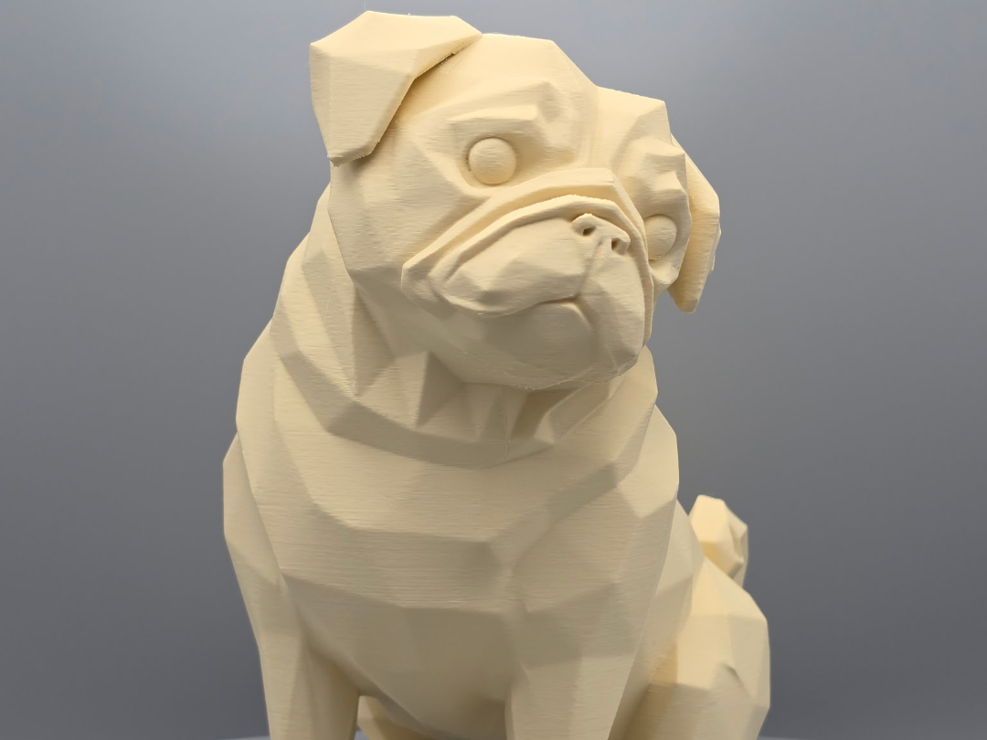 Geometric Pug Pup