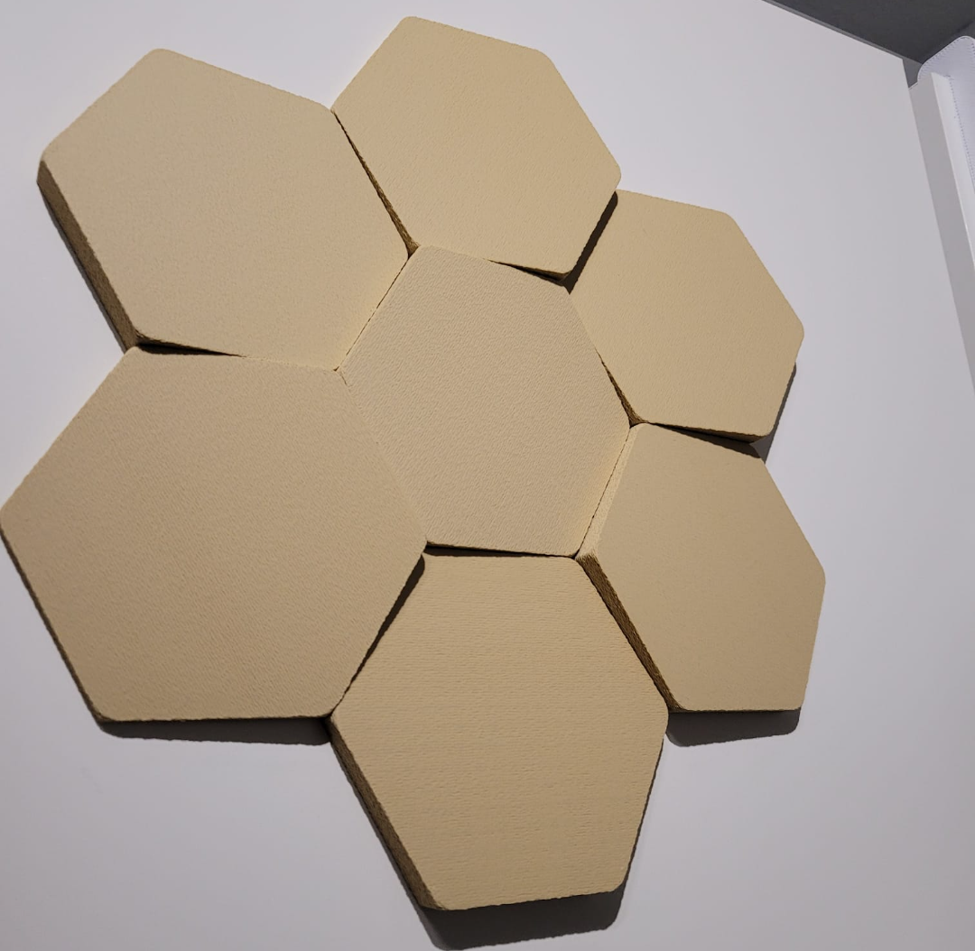 Hex wallpanels